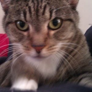 Meet your Posher, Christopher